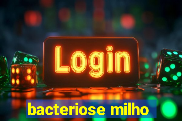 bacteriose milho