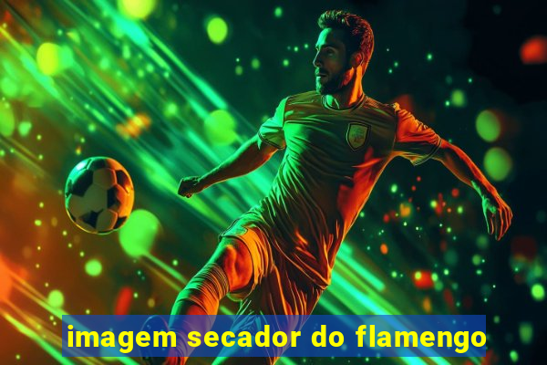 imagem secador do flamengo