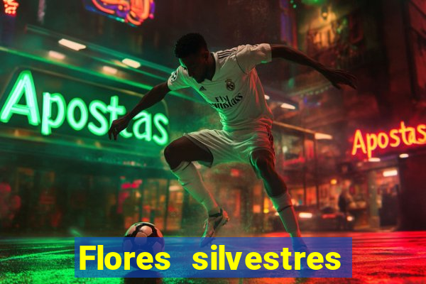 Flores silvestres brasileiras 25