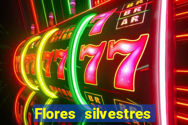 Flores silvestres brasileiras 25