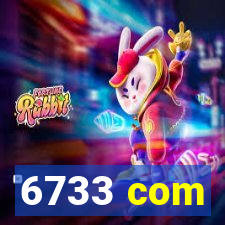 6733 com