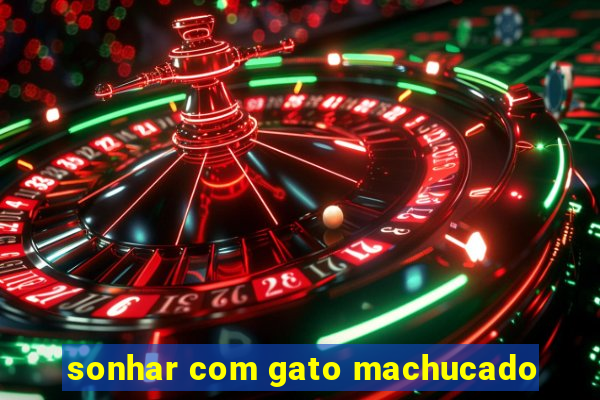 sonhar com gato machucado