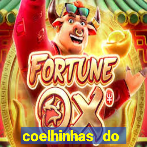 coelhinhas do brasil site