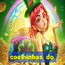 coelhinhas do brasil site