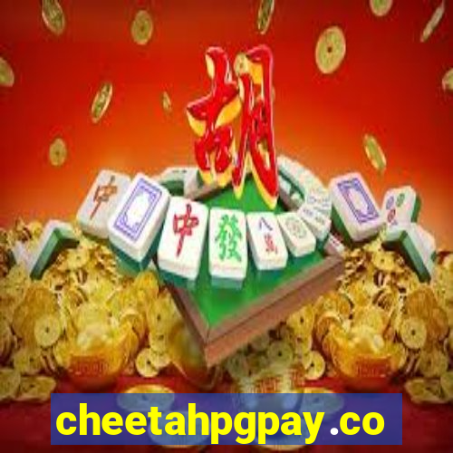 cheetahpgpay.com