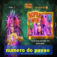 numero do pavao