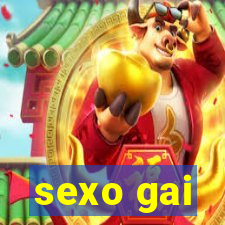 sexo gai