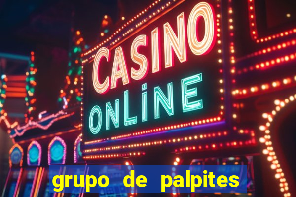 grupo de palpites de futebol whatsapp