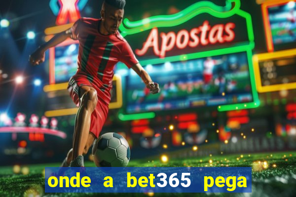 onde a bet365 pega as estatisticas