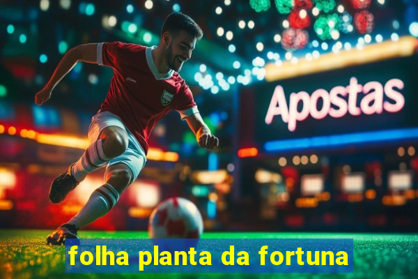 folha planta da fortuna