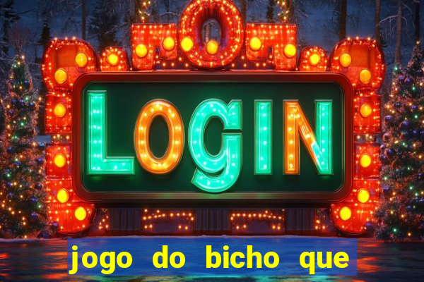 jogo do bicho que paga no pix