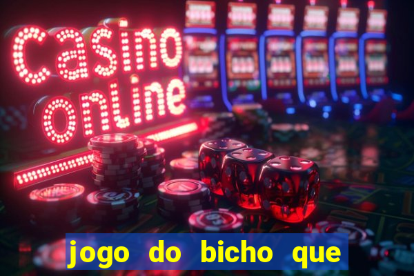 jogo do bicho que paga no pix