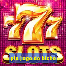 pix jogo do bicho