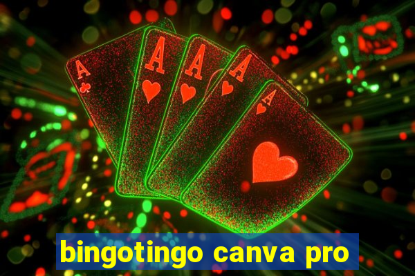 bingotingo canva pro