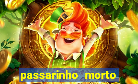 passarinho morto significado espiritual