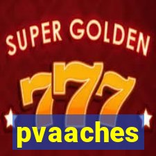 pvaaches