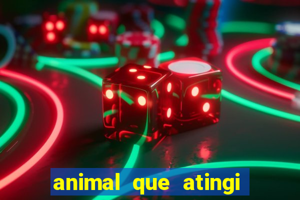 animal que atingi 230 decibeis