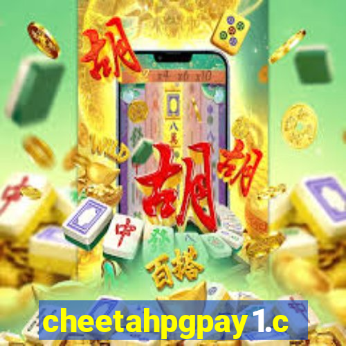 cheetahpgpay1.com