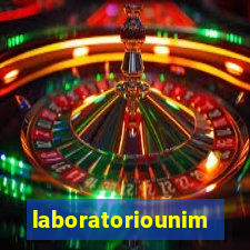 laboratoriounimedblumenau.com.br