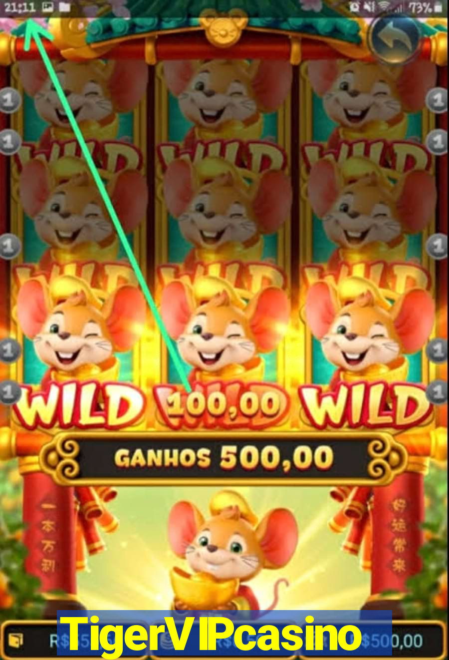 TigerVIPcasino