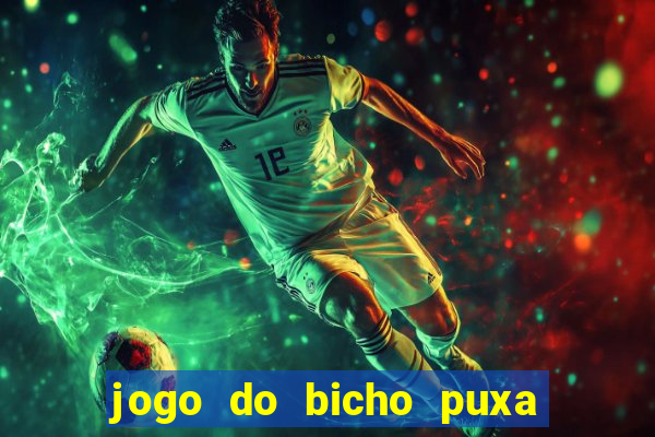 jogo do bicho puxa de dona maria