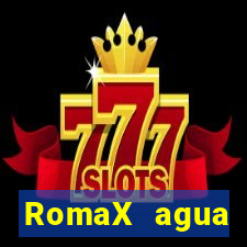 RomaX agua sanitaria fispq agua sanitaria romax