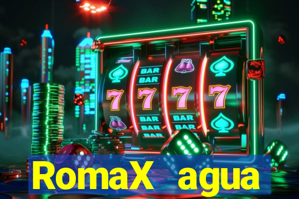 RomaX agua sanitaria fispq agua sanitaria romax