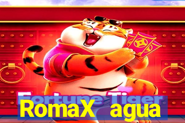 RomaX agua sanitaria fispq agua sanitaria romax