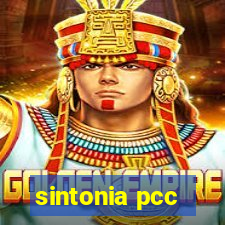 sintonia pcc