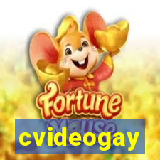 cvideogay