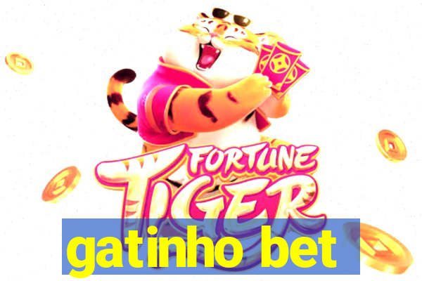 gatinho bet