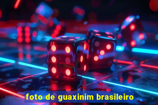 foto de guaxinim brasileiro