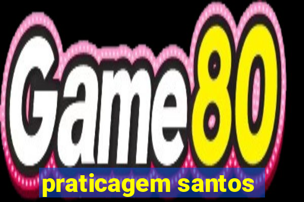 praticagem santos