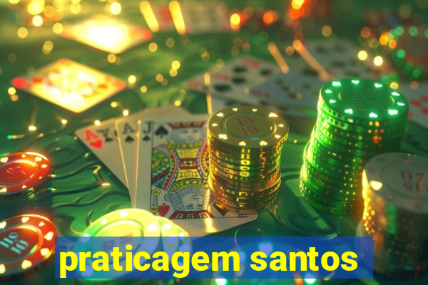 praticagem santos