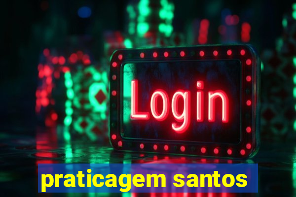 praticagem santos