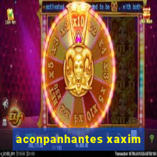 aconpanhantes xaxim