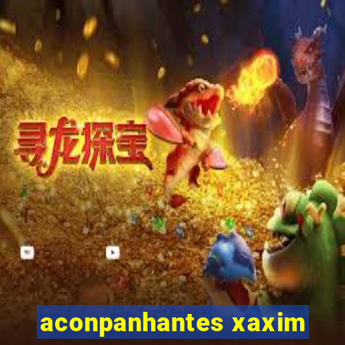 aconpanhantes xaxim