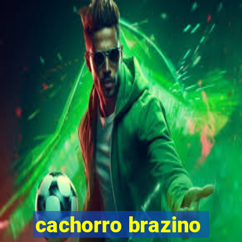 cachorro brazino