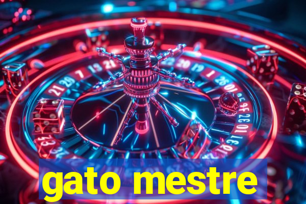 gato mestre