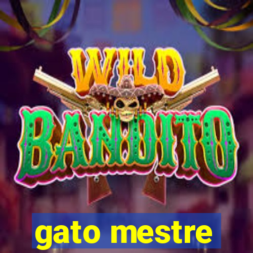 gato mestre