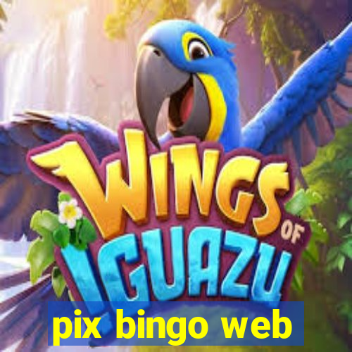 pix bingo web