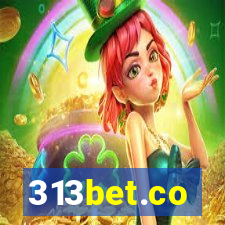 313bet.co