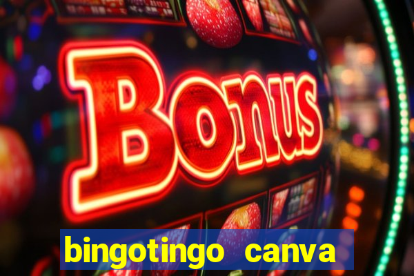 bingotingo canva pro gratis