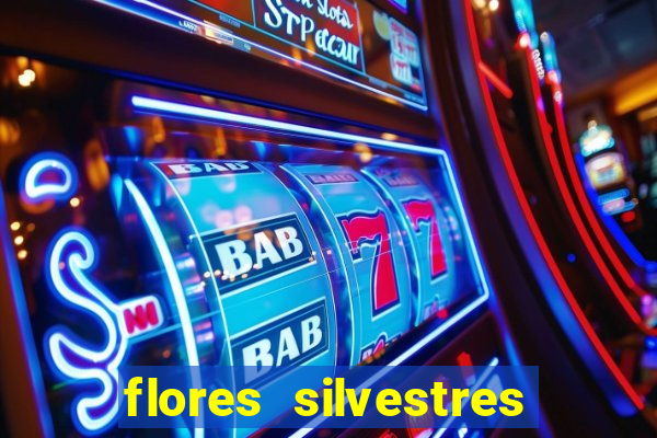 flores silvestres desbravadores desbravadores 25