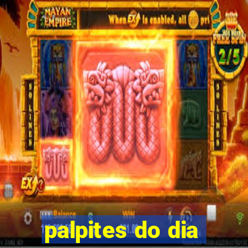 palpites do dia