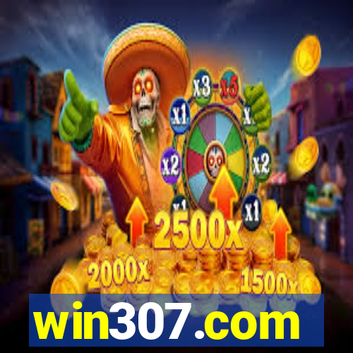 win307.com