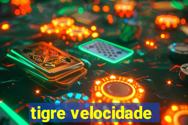 tigre velocidade