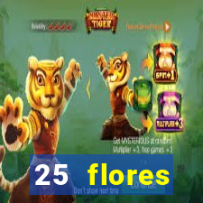 25 flores silvestres desbravadores