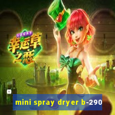 mini spray dryer b-290