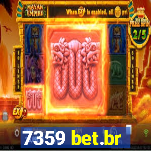 7359 bet.br